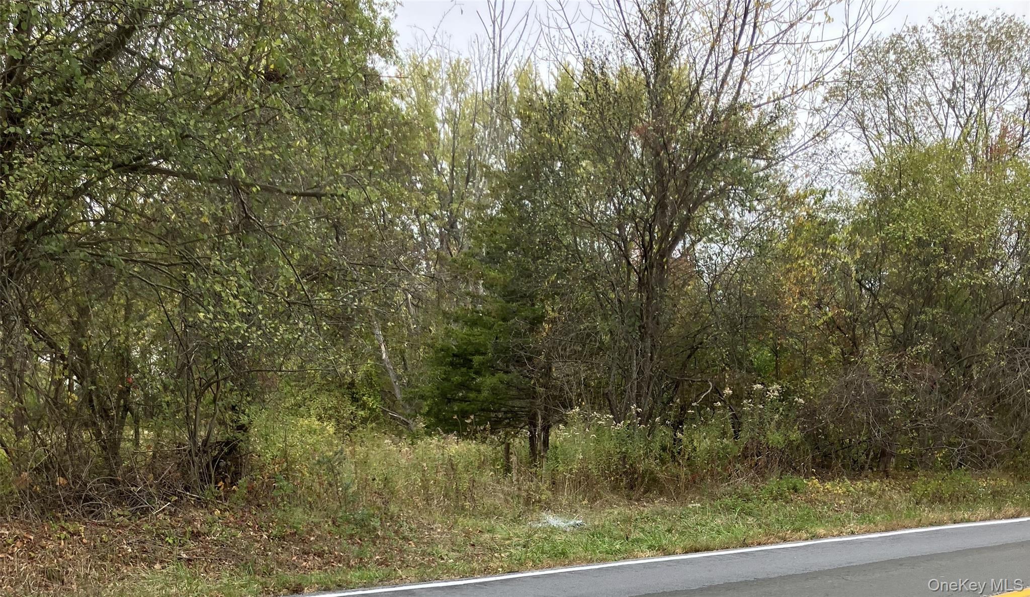 3346 Route 207 Property Photo 3