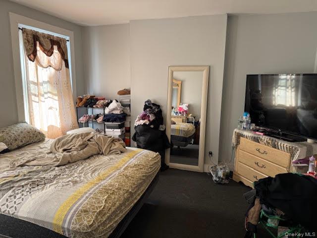117 Renwick Street Property Photo 21