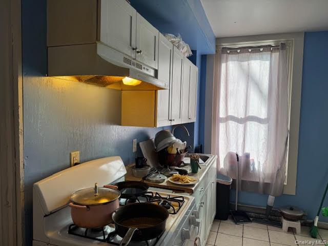 117 Renwick Street Property Photo 27