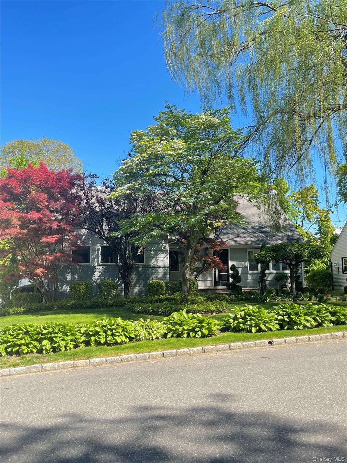 7 Henry Street Property Photo 1