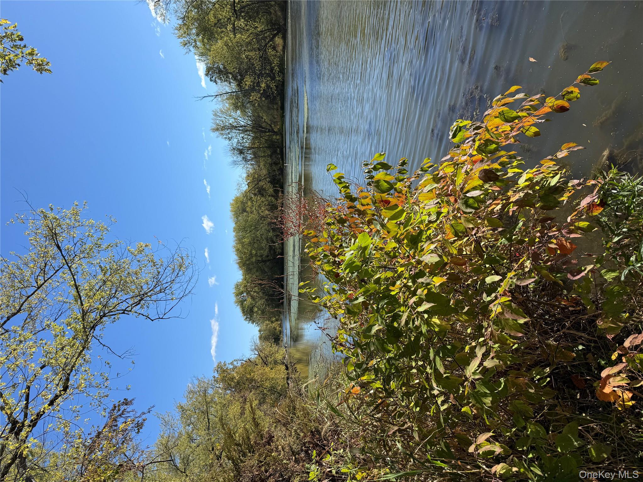 6580 Us Route 9 Property Photo 4