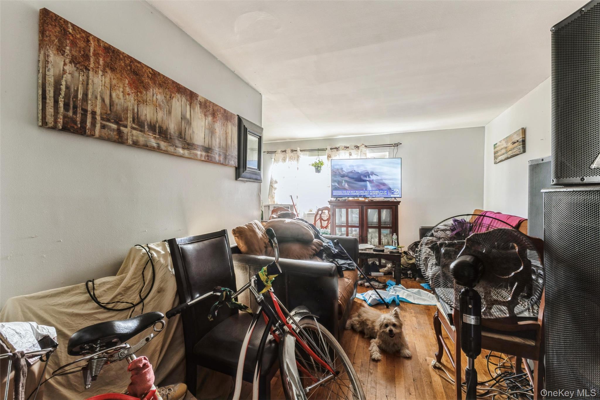980 Jerome Street Property Photo 4