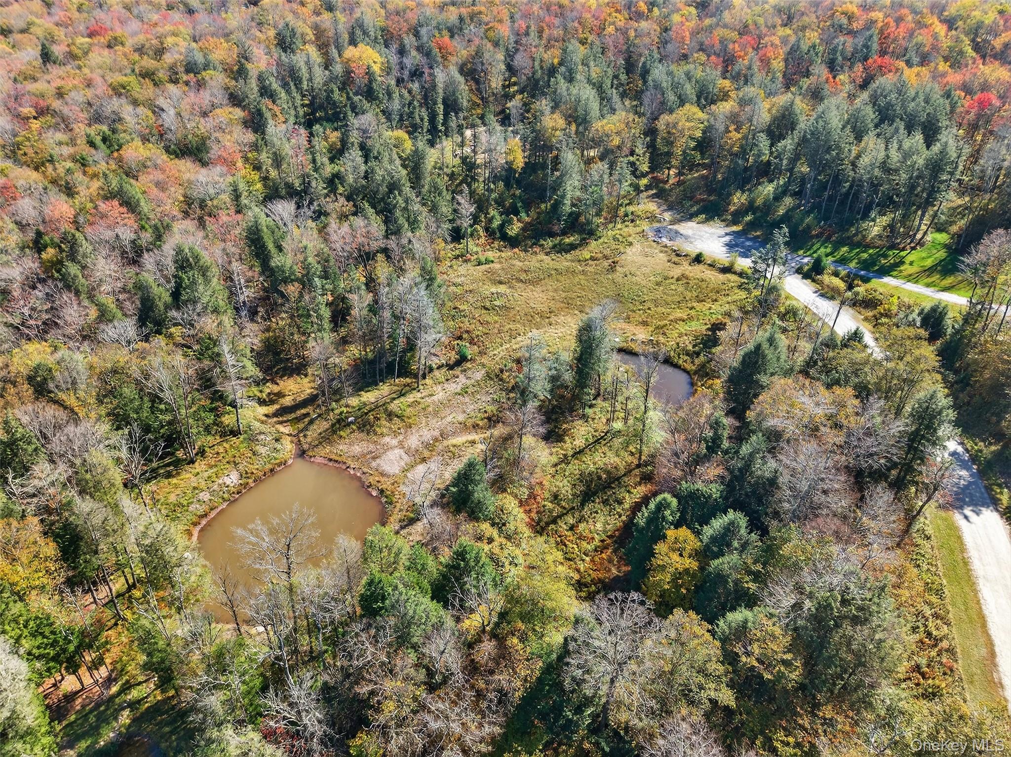 Tbd Black Bear Crossing Property Photo 3