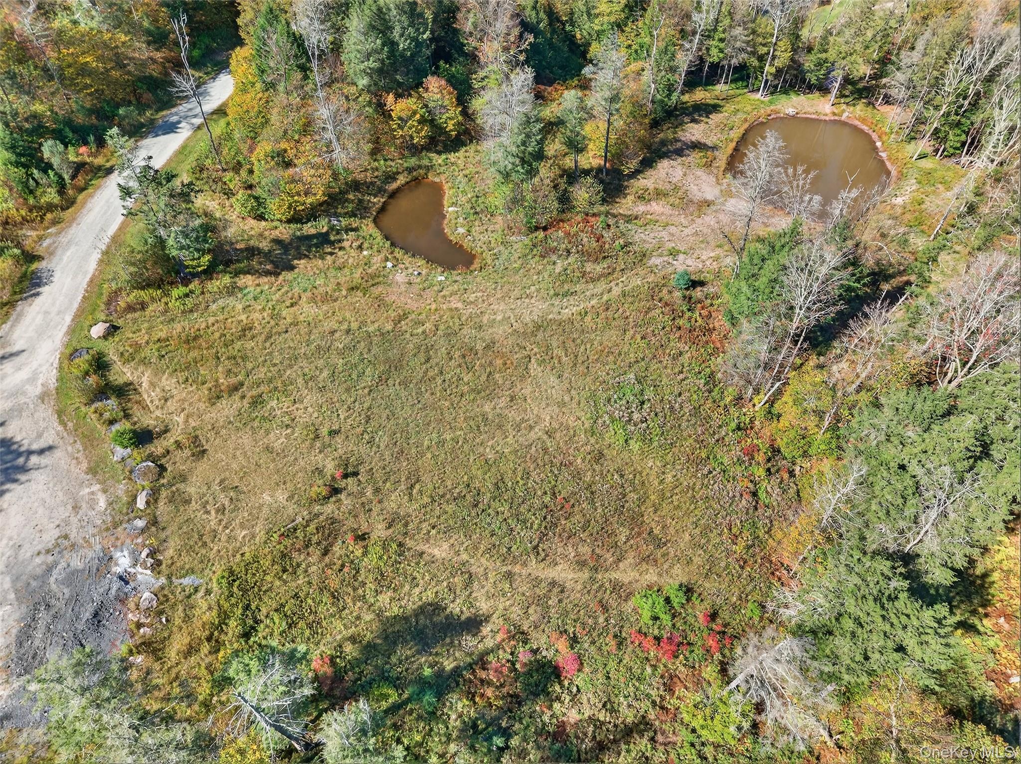 Tbd Black Bear Crossing Property Photo 4