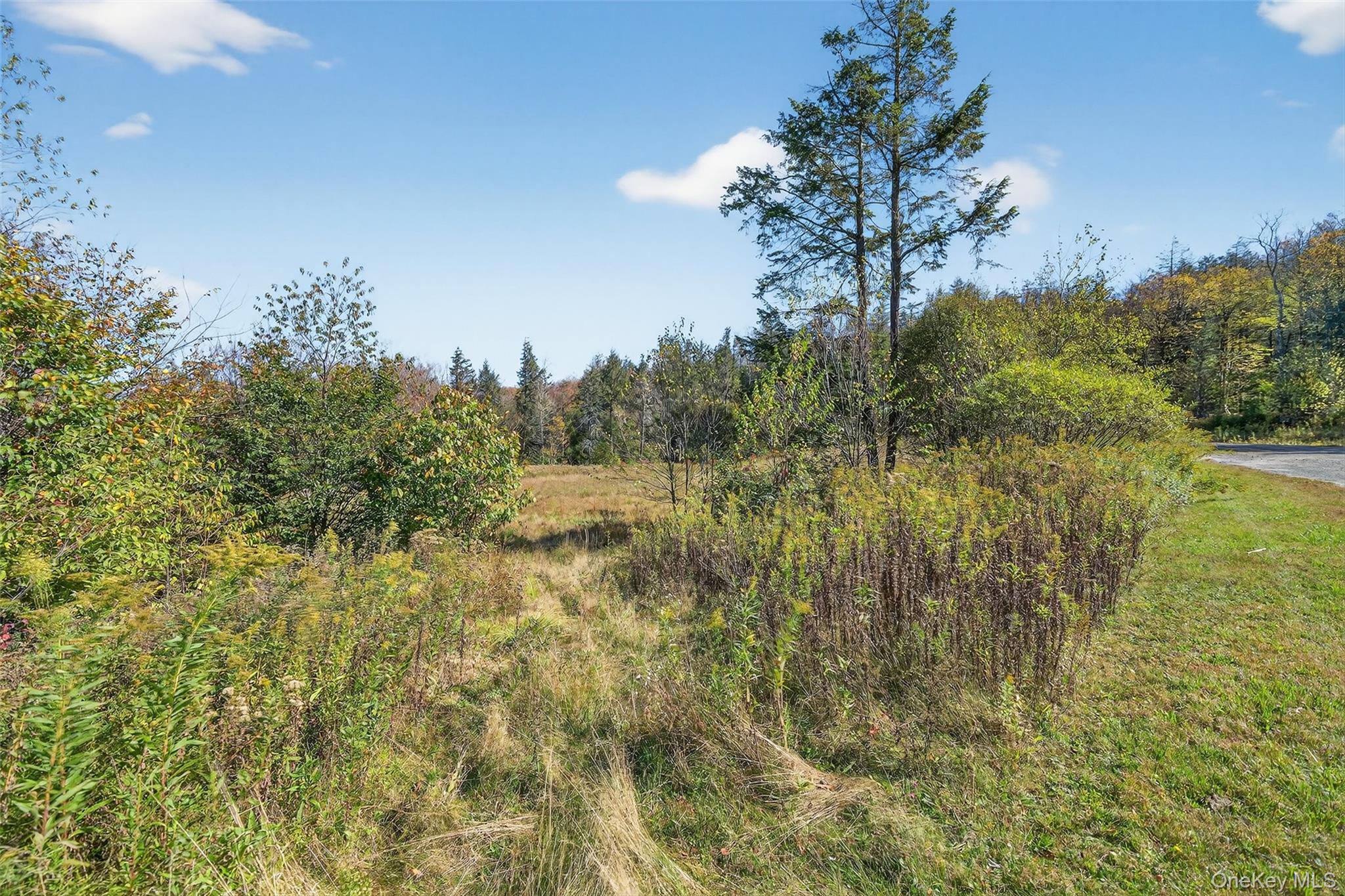 Tbd Black Bear Crossing Property Photo 5