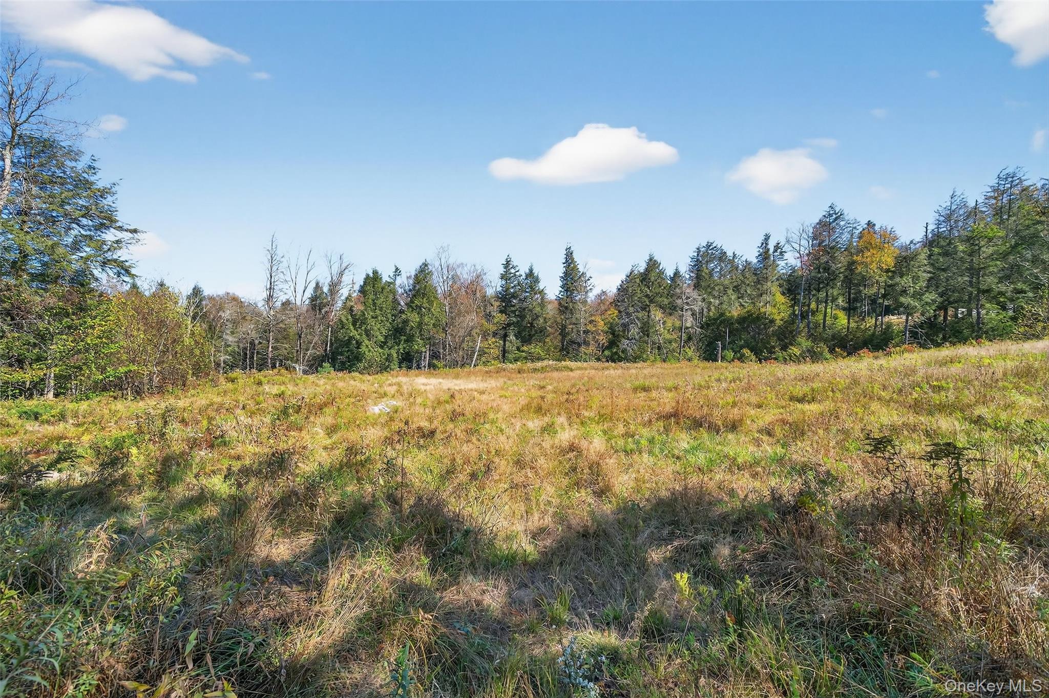 Tbd Black Bear Crossing Property Photo 7