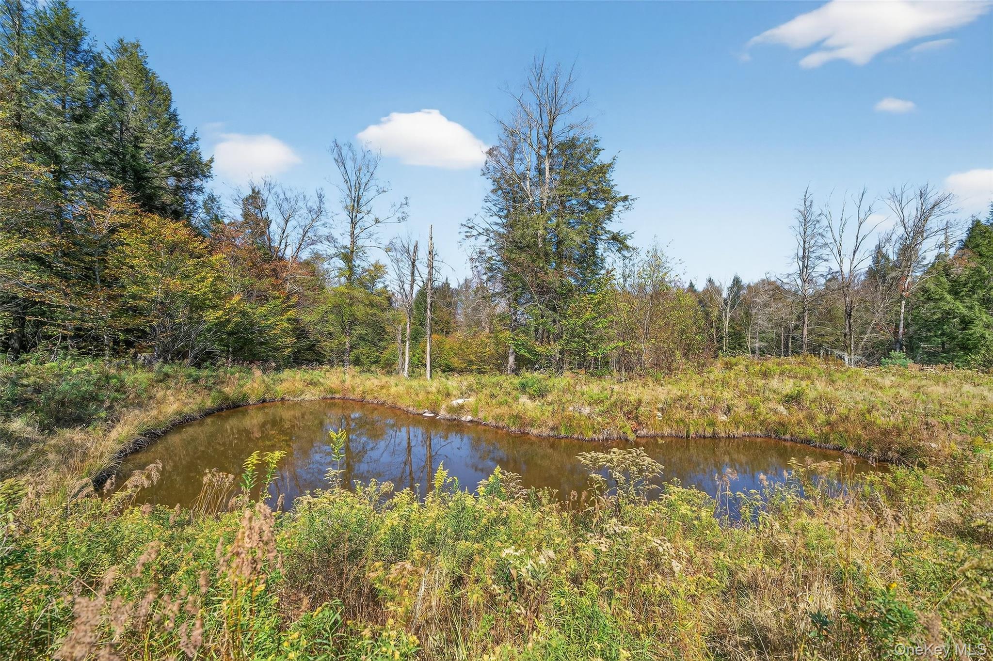 Tbd Black Bear Crossing Property Photo 8