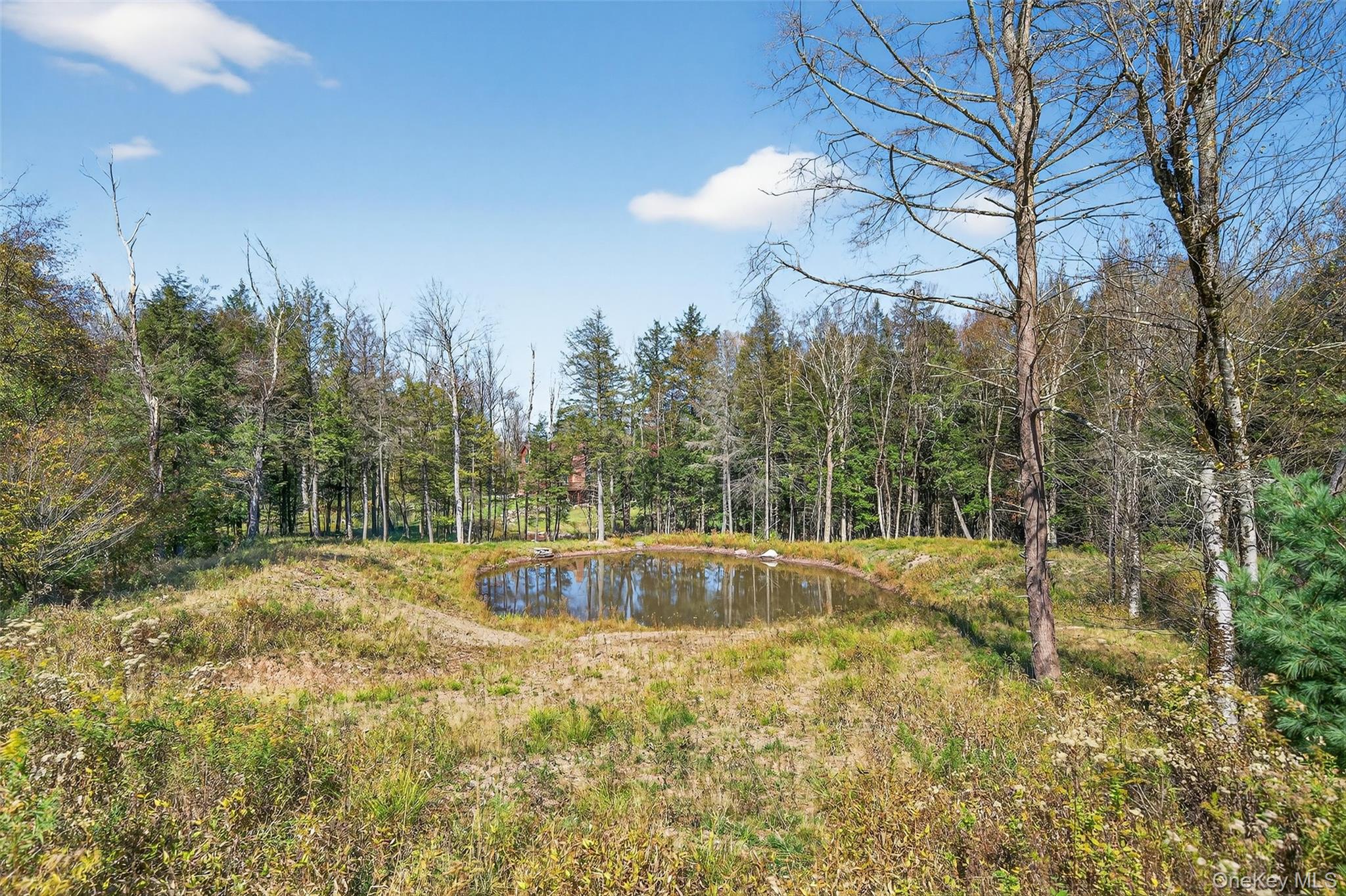 Tbd Black Bear Crossing Property Photo 9