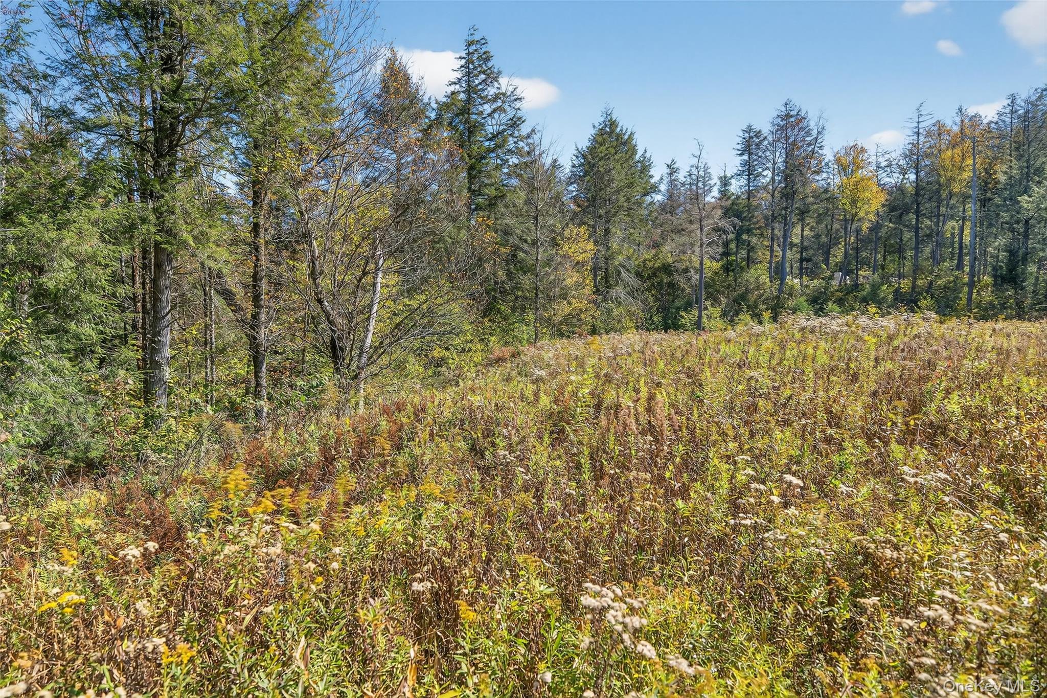 Tbd Black Bear Crossing Property Photo 10