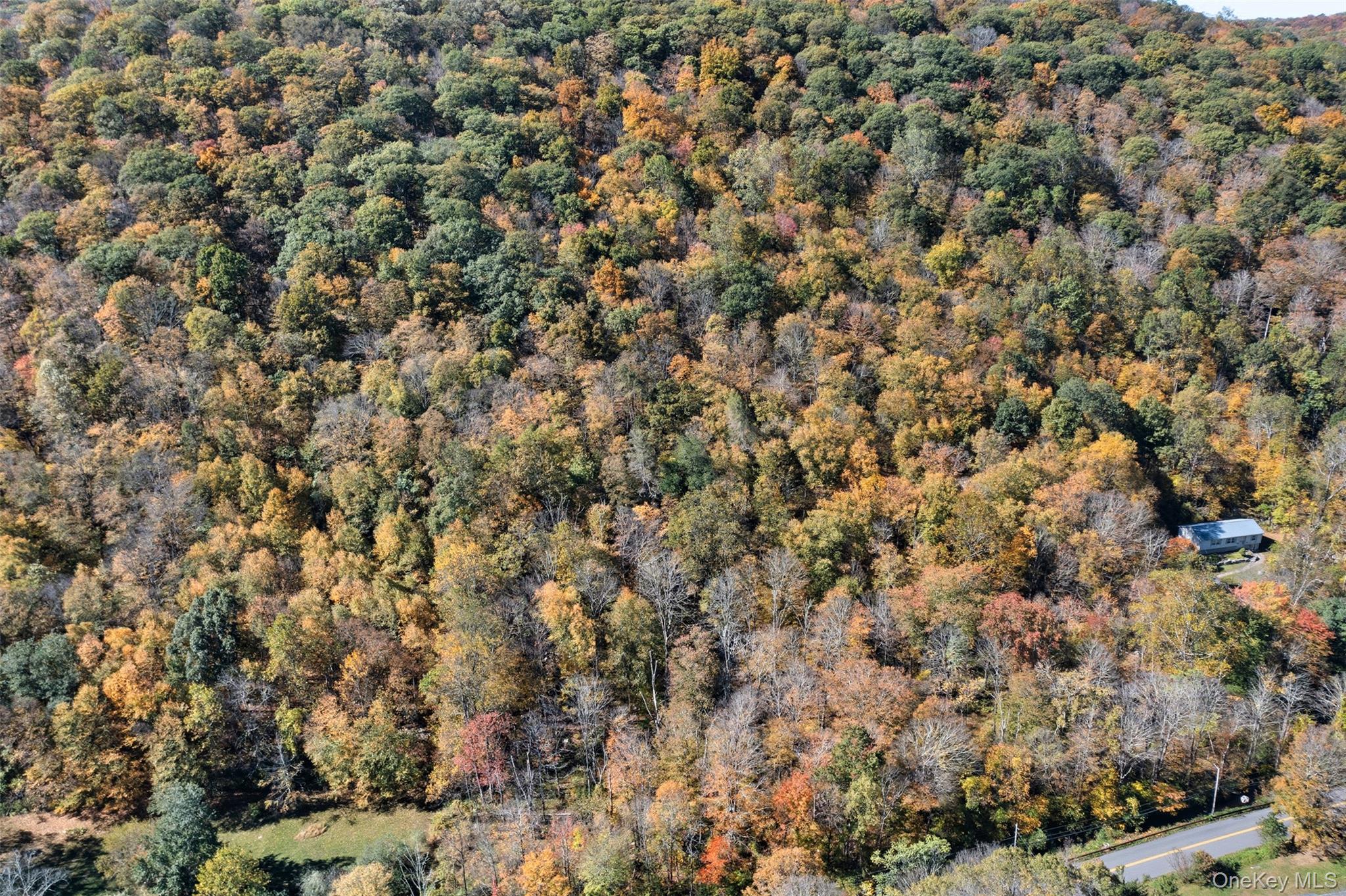 Wiccopee Road Property Photo 3