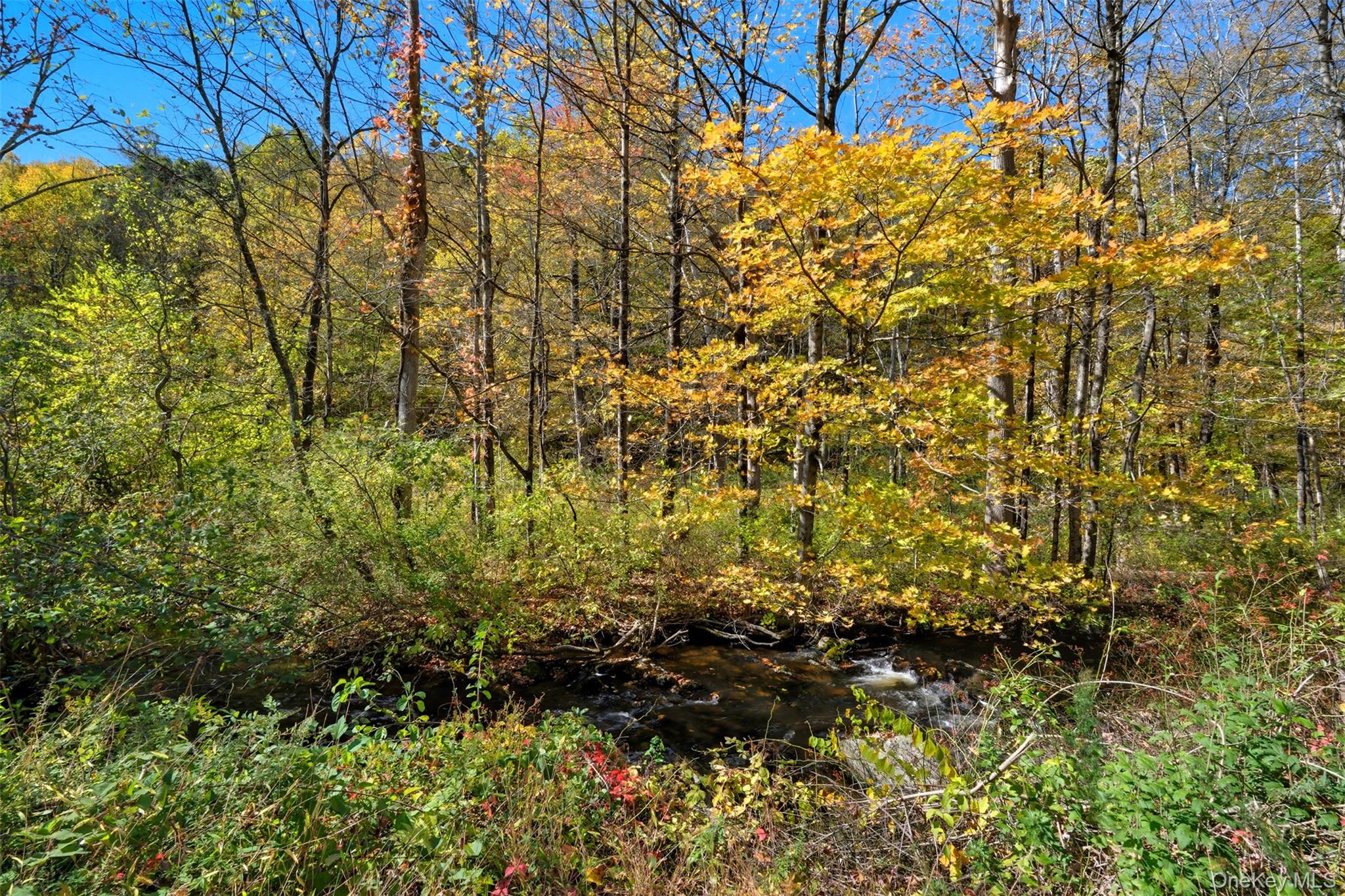 Wiccopee Road Property Photo 14