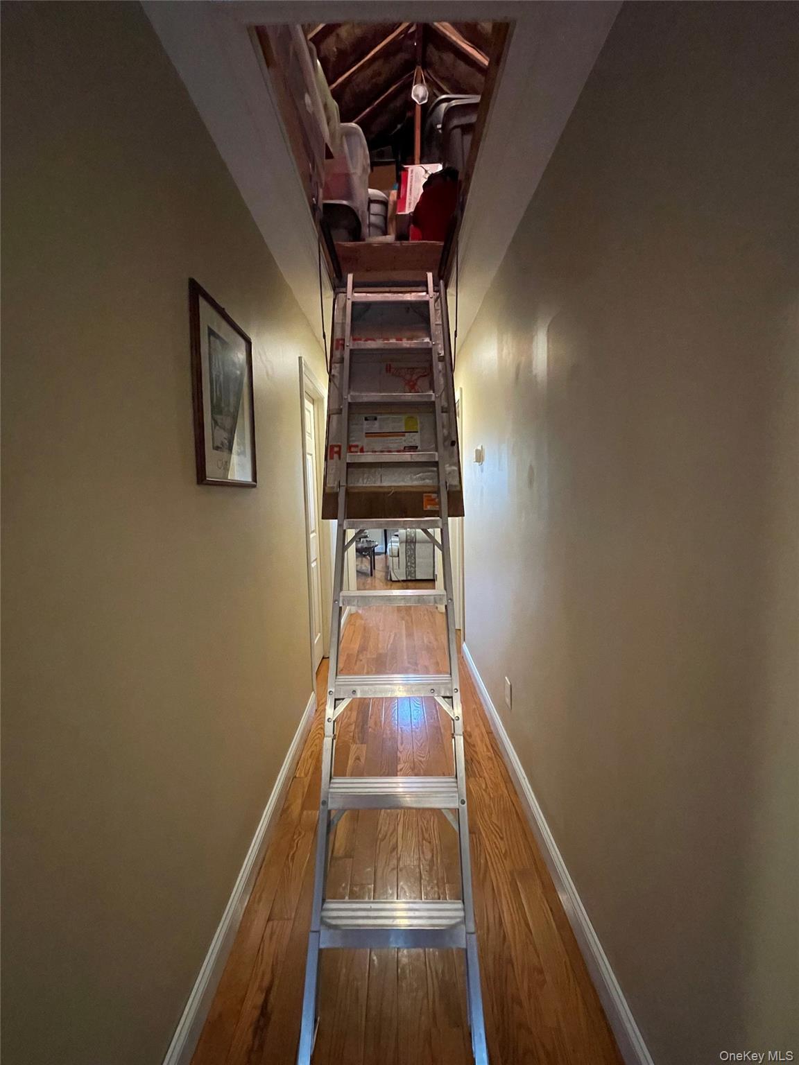 129 West Boulevard Property Photo 24