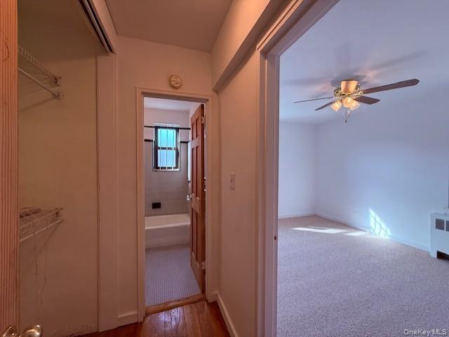 52-21 65th Place 6p Property Photo 18