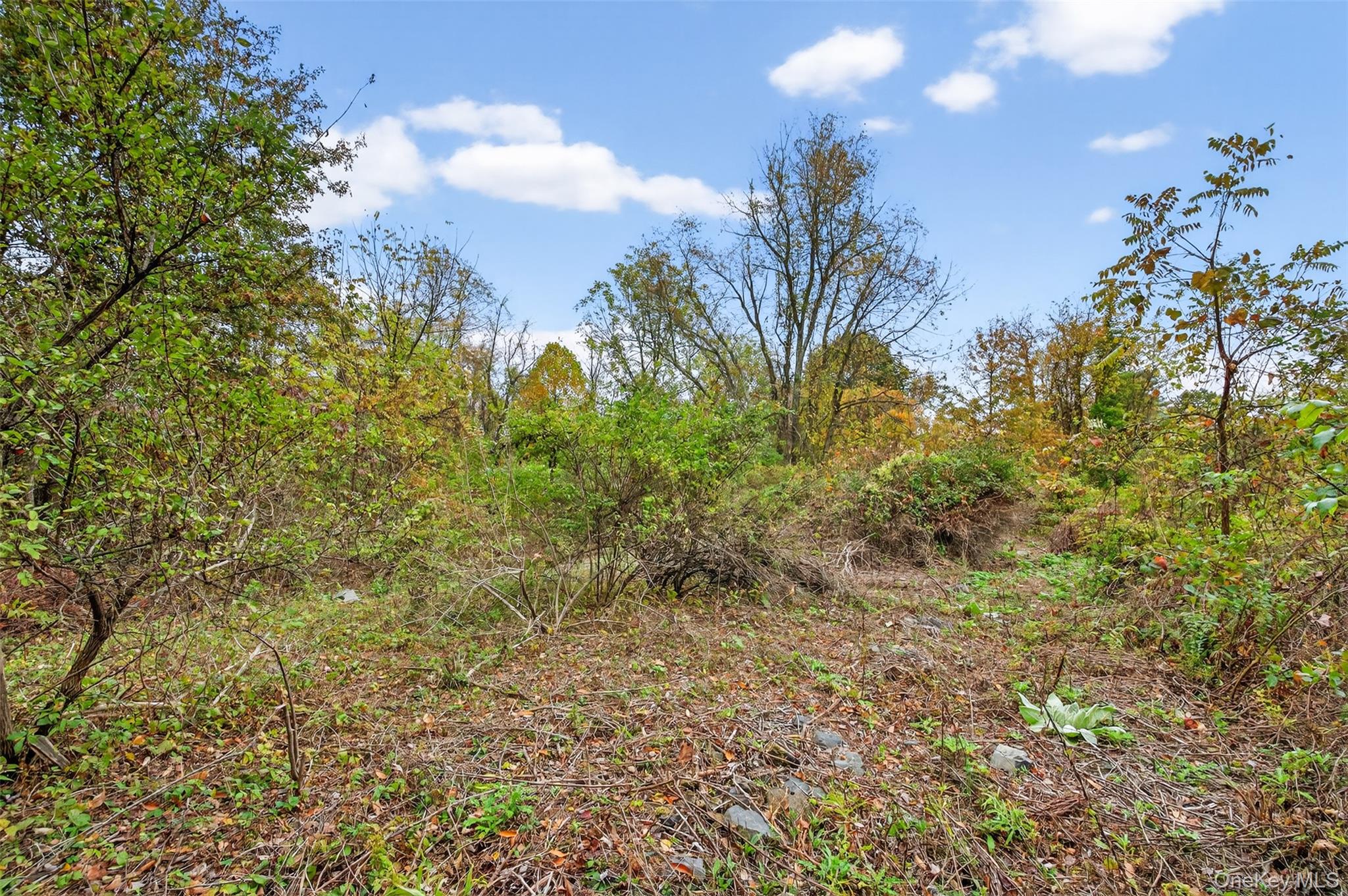 37 N Ohioville Road Property Photo 6