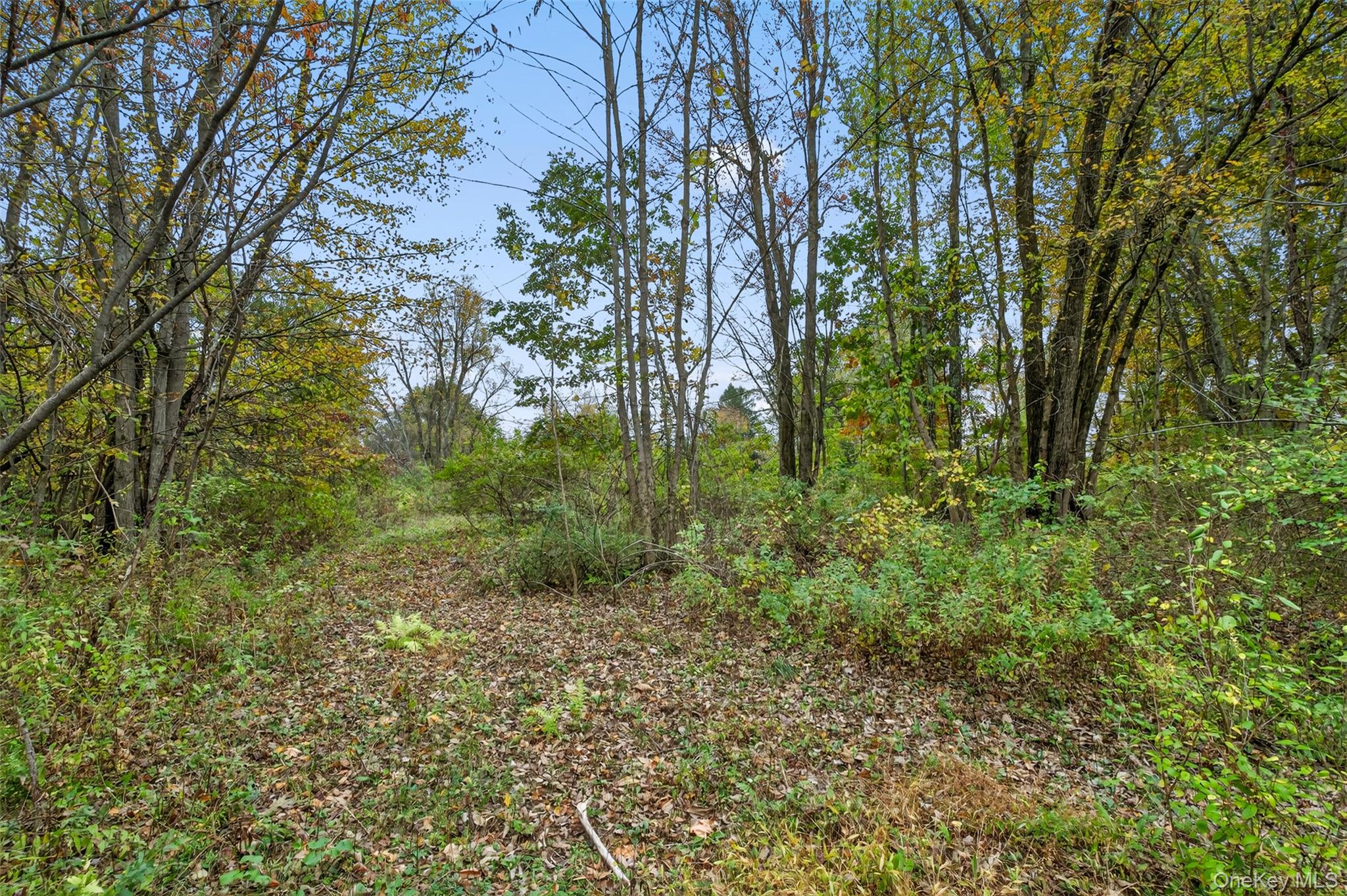 37 N Ohioville Road Property Photo 7