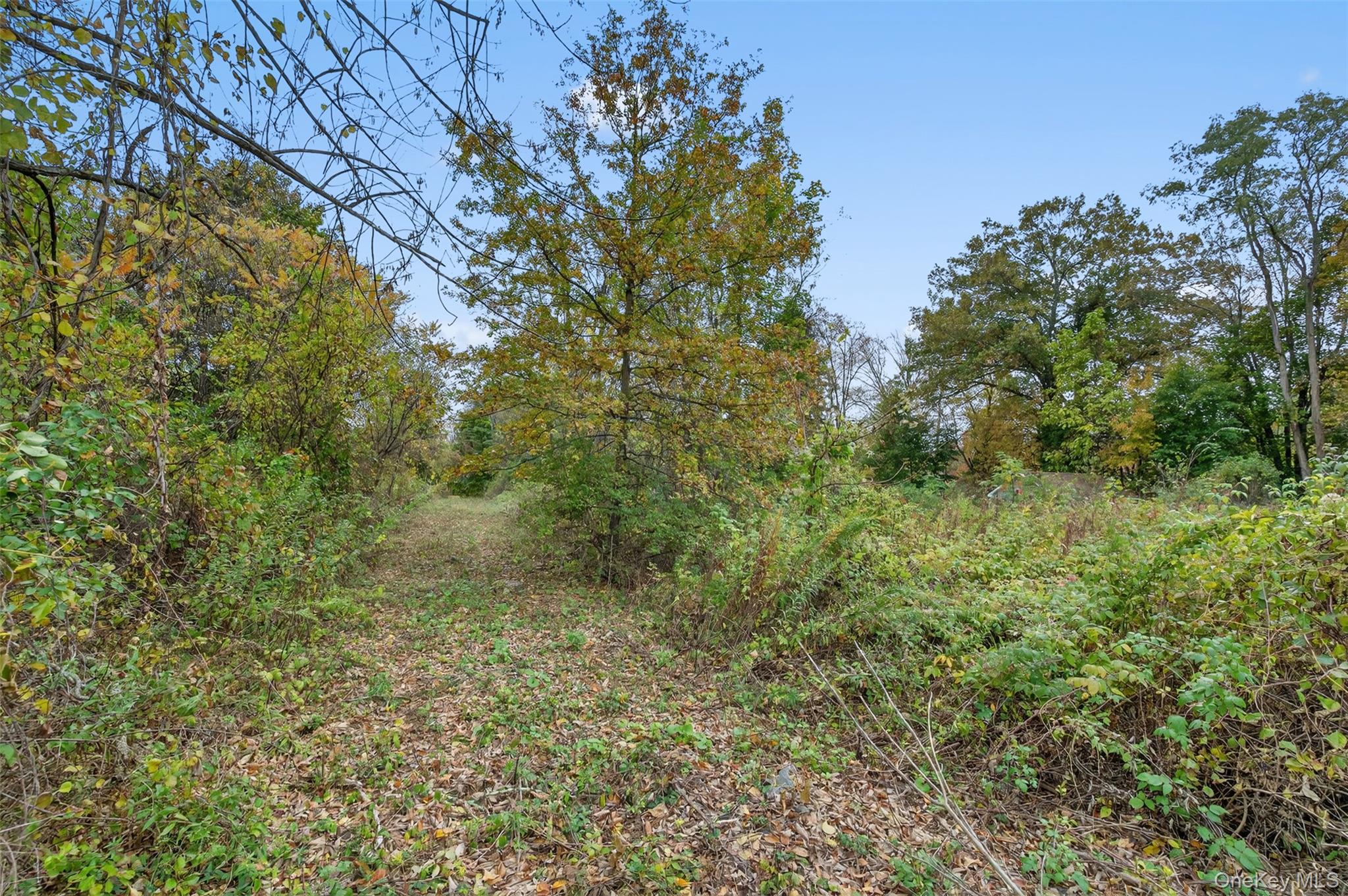 37 N Ohioville Road Property Photo 8