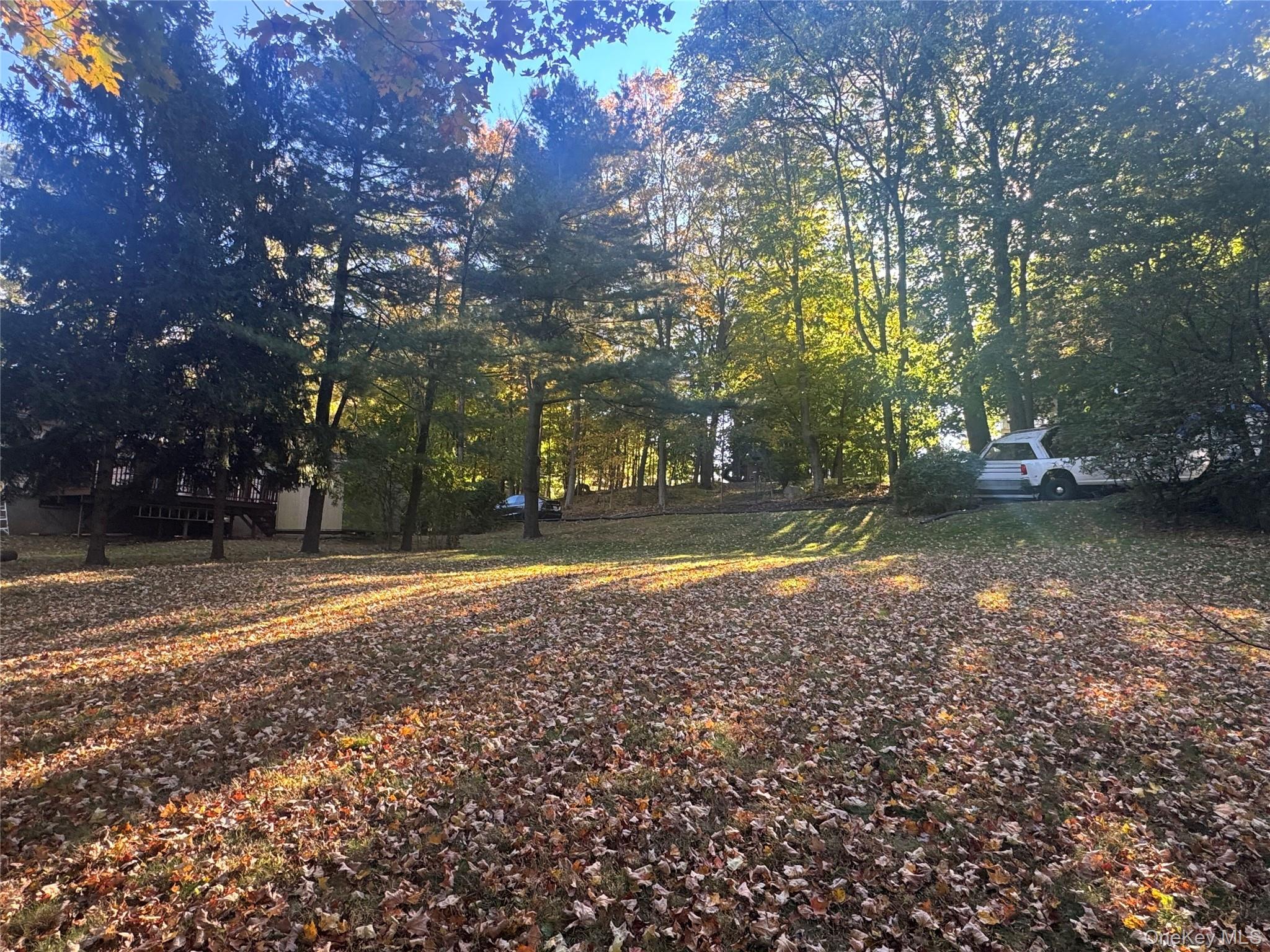 Laurel Hill Road Property Photo 3