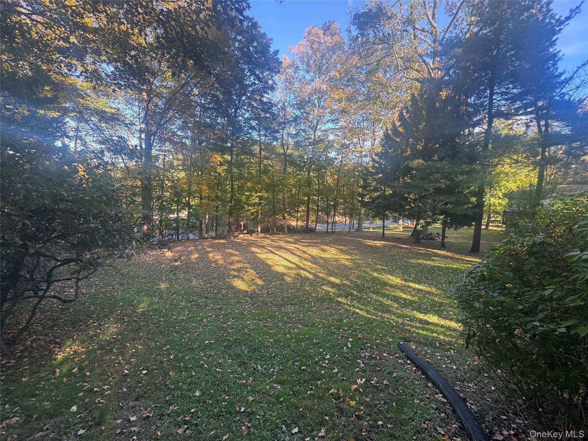 Laurel Hill Road Property Photo 4