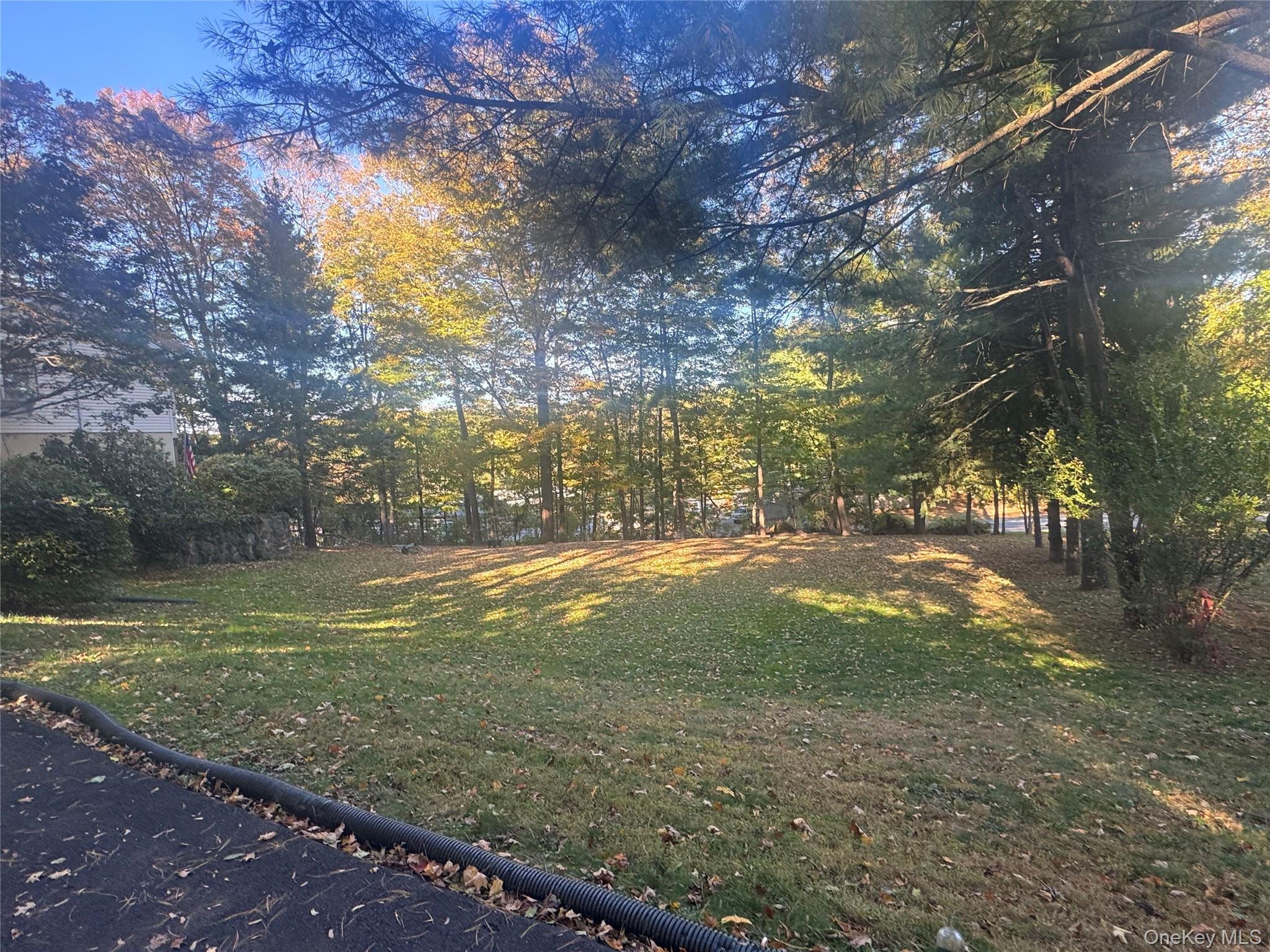 Laurel Hill Road Property Photo 6