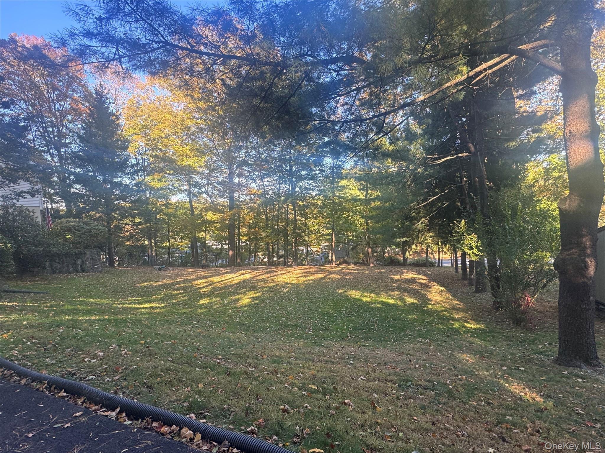 Laurel Hill Road Property Photo 7