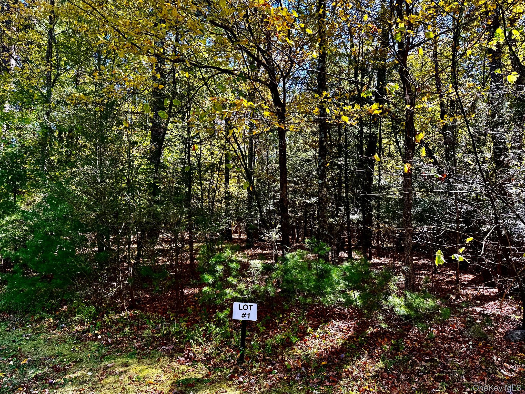 49 Falling Waters Drive Property Photo 1