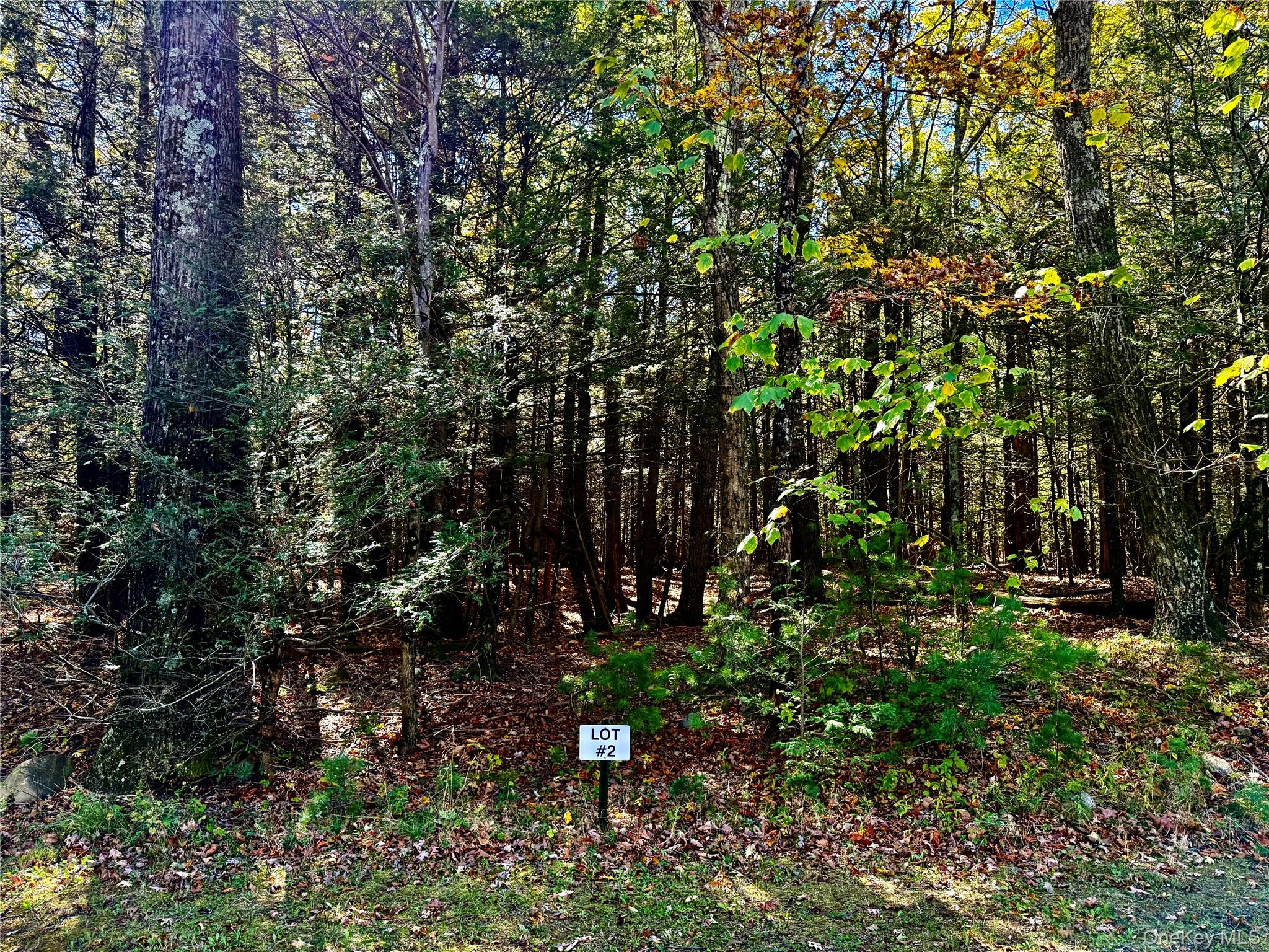 67 Falling Waters Drive Property Photo 1