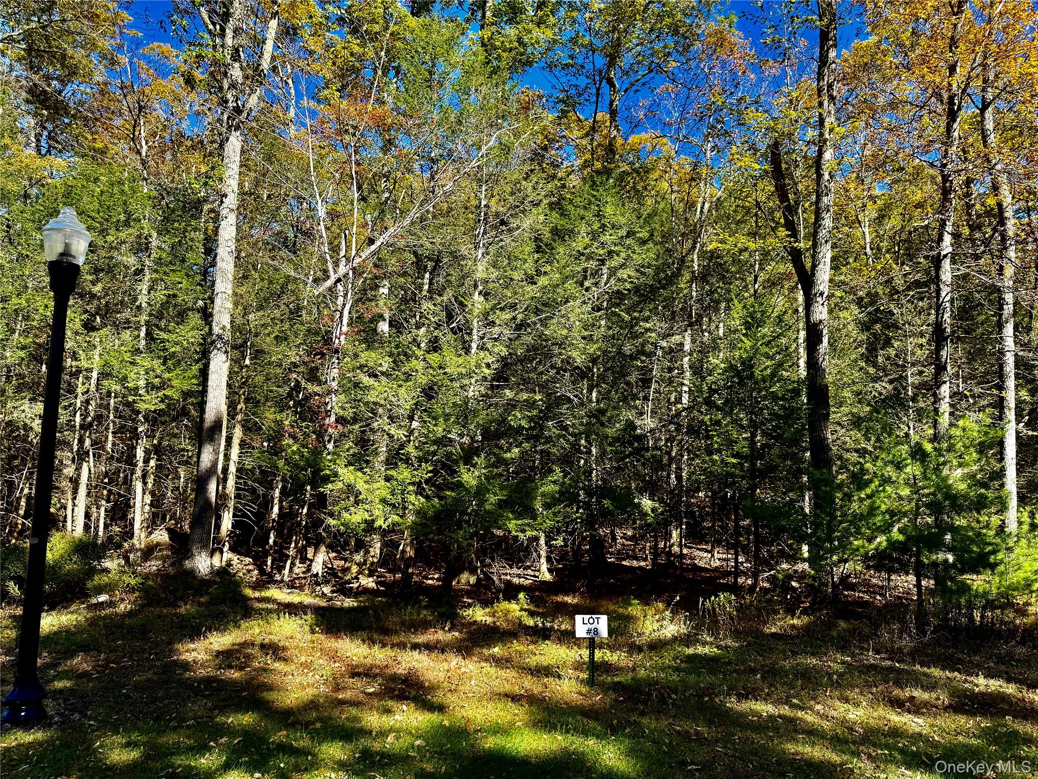 78 Falling Waters Drive Property Photo 2