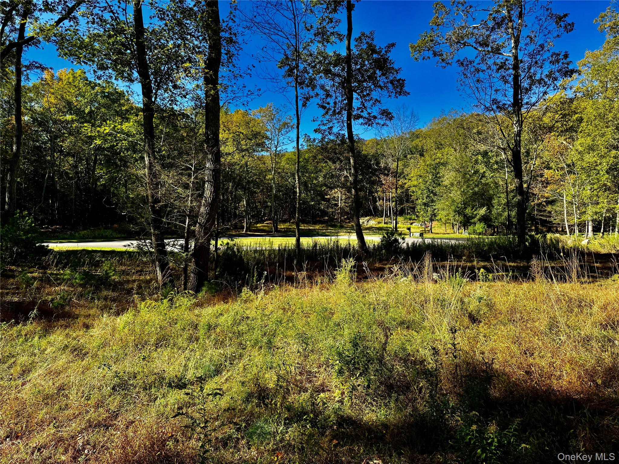86 Falling Waters Drive Property Photo 1