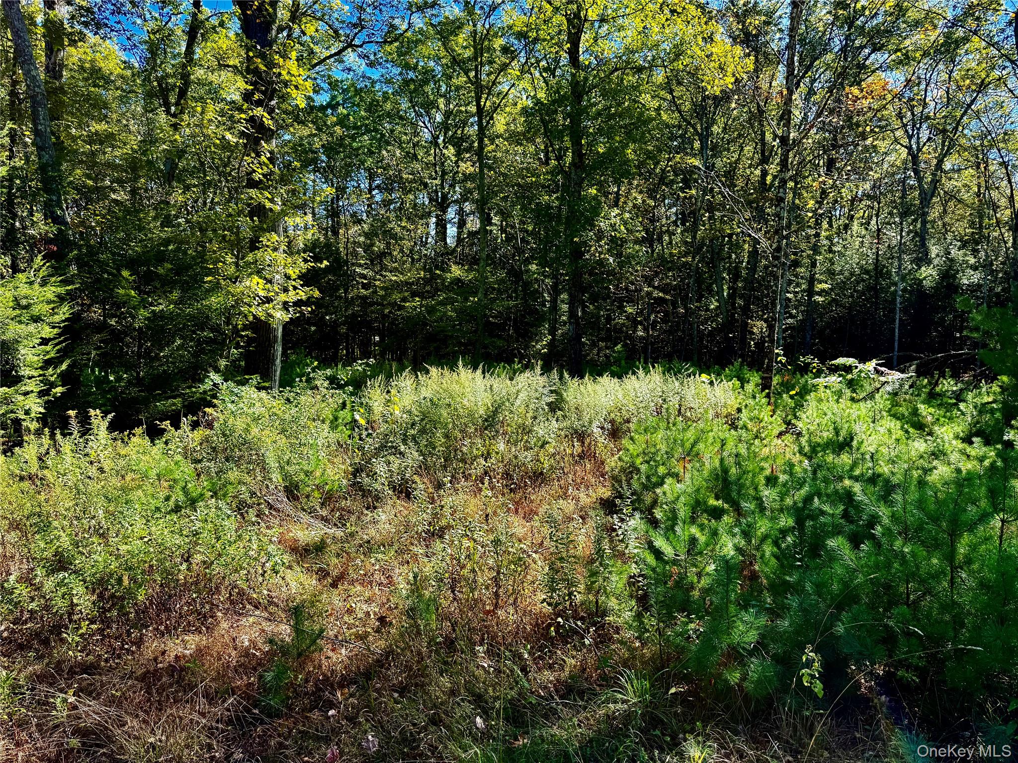 86 Falling Waters Drive Property Photo 3