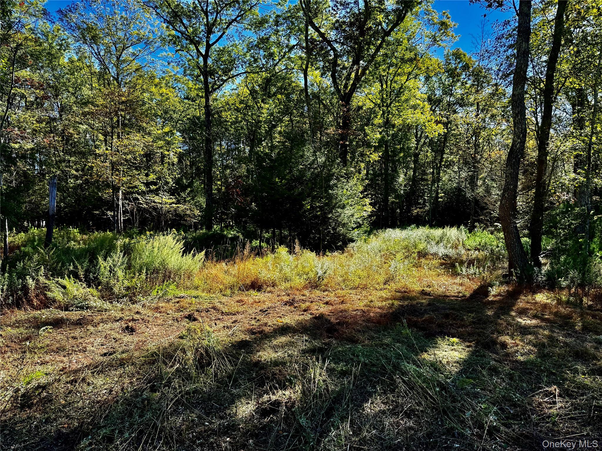 86 Falling Waters Drive Property Photo 4
