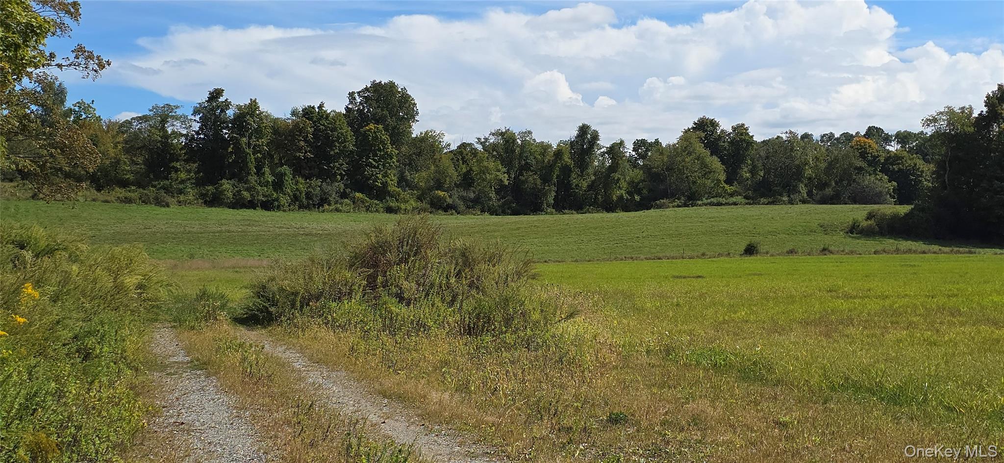 1198 82 Route Property Photo 9