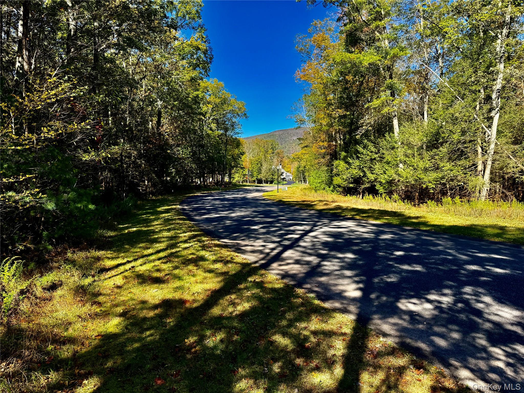 44-86 Falling Waters Drive Property Photo 3