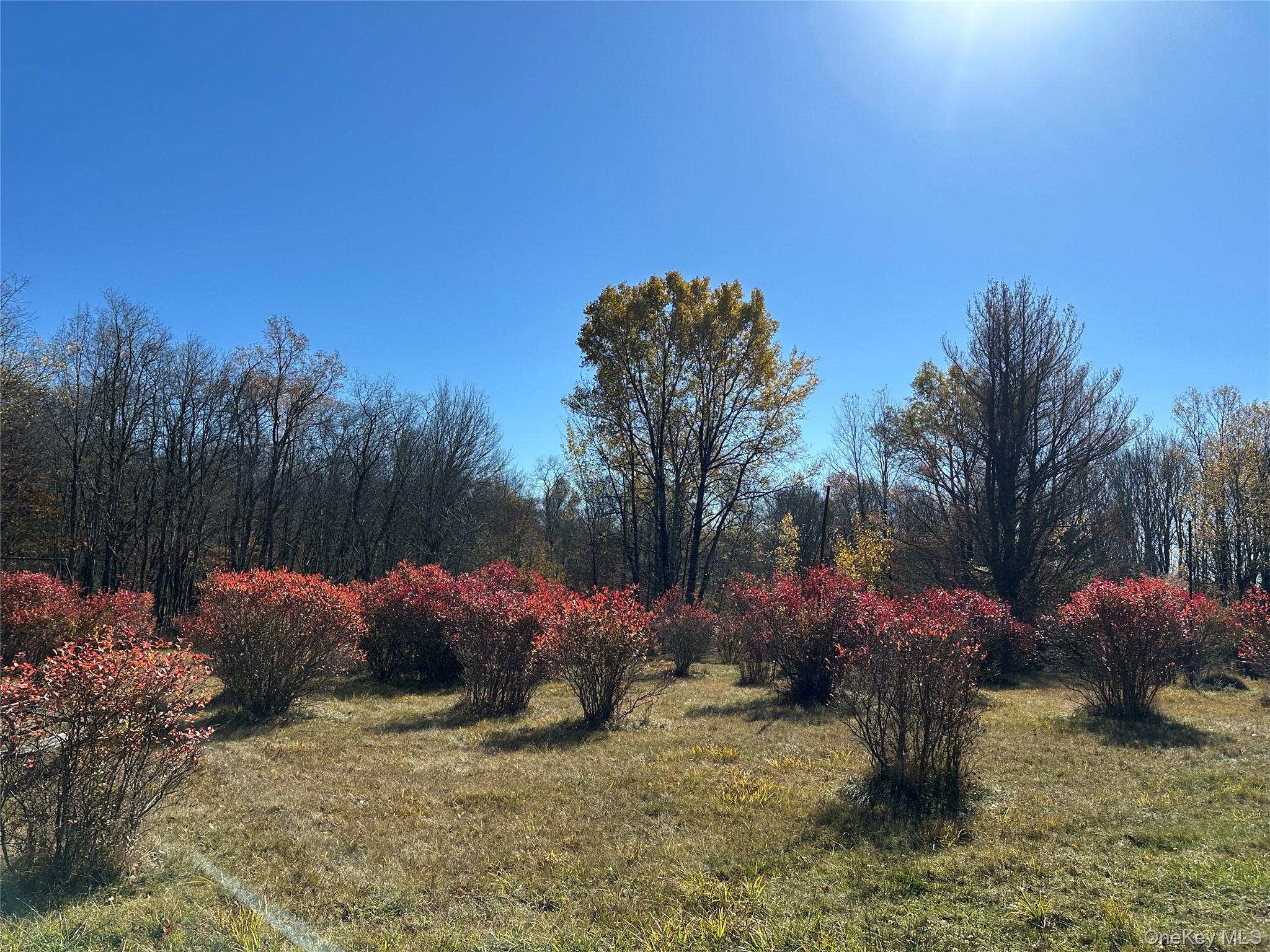 24 Mud Pond Road Property Photo 2