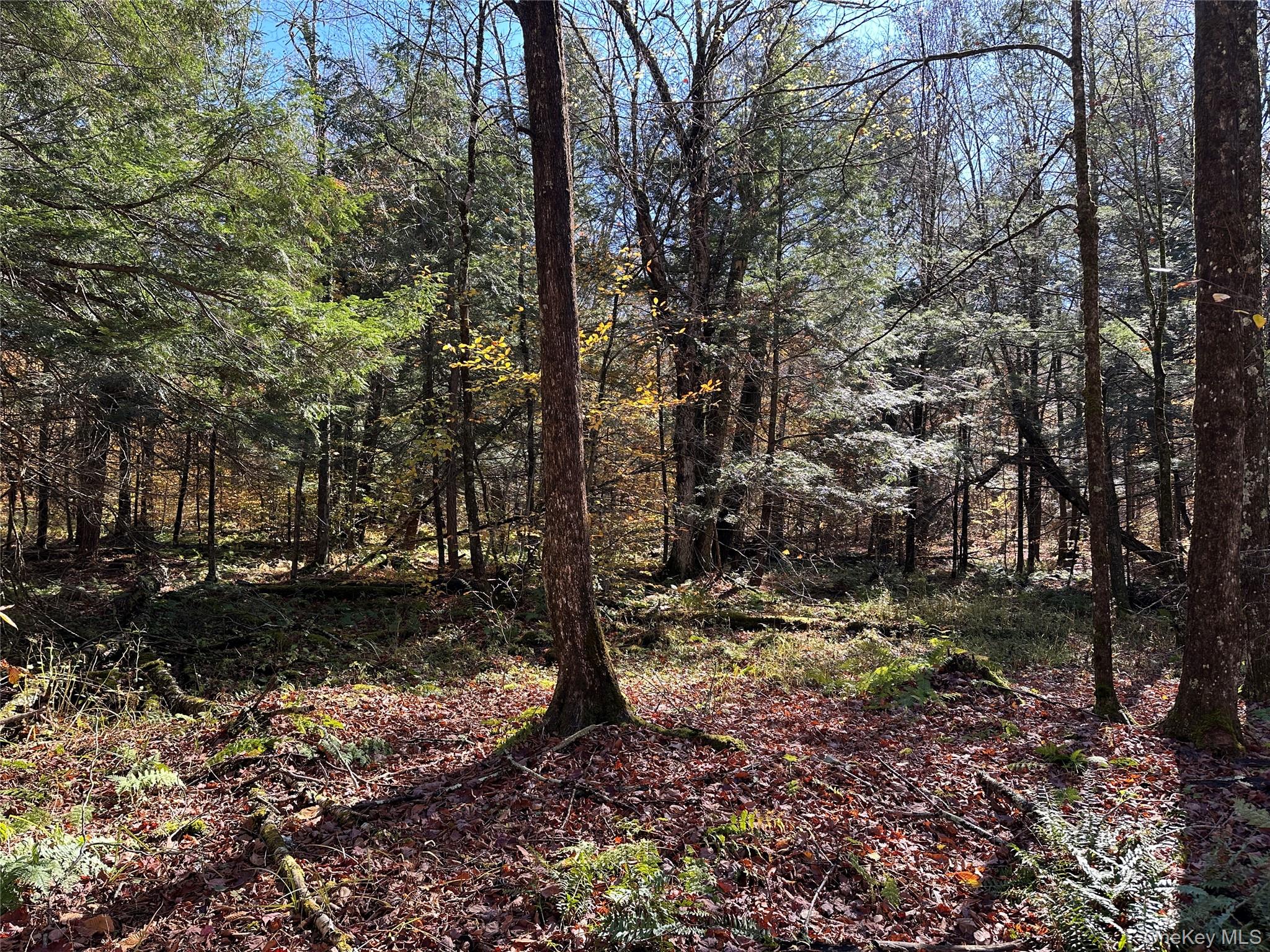 24 Mud Pond Road Property Photo 3