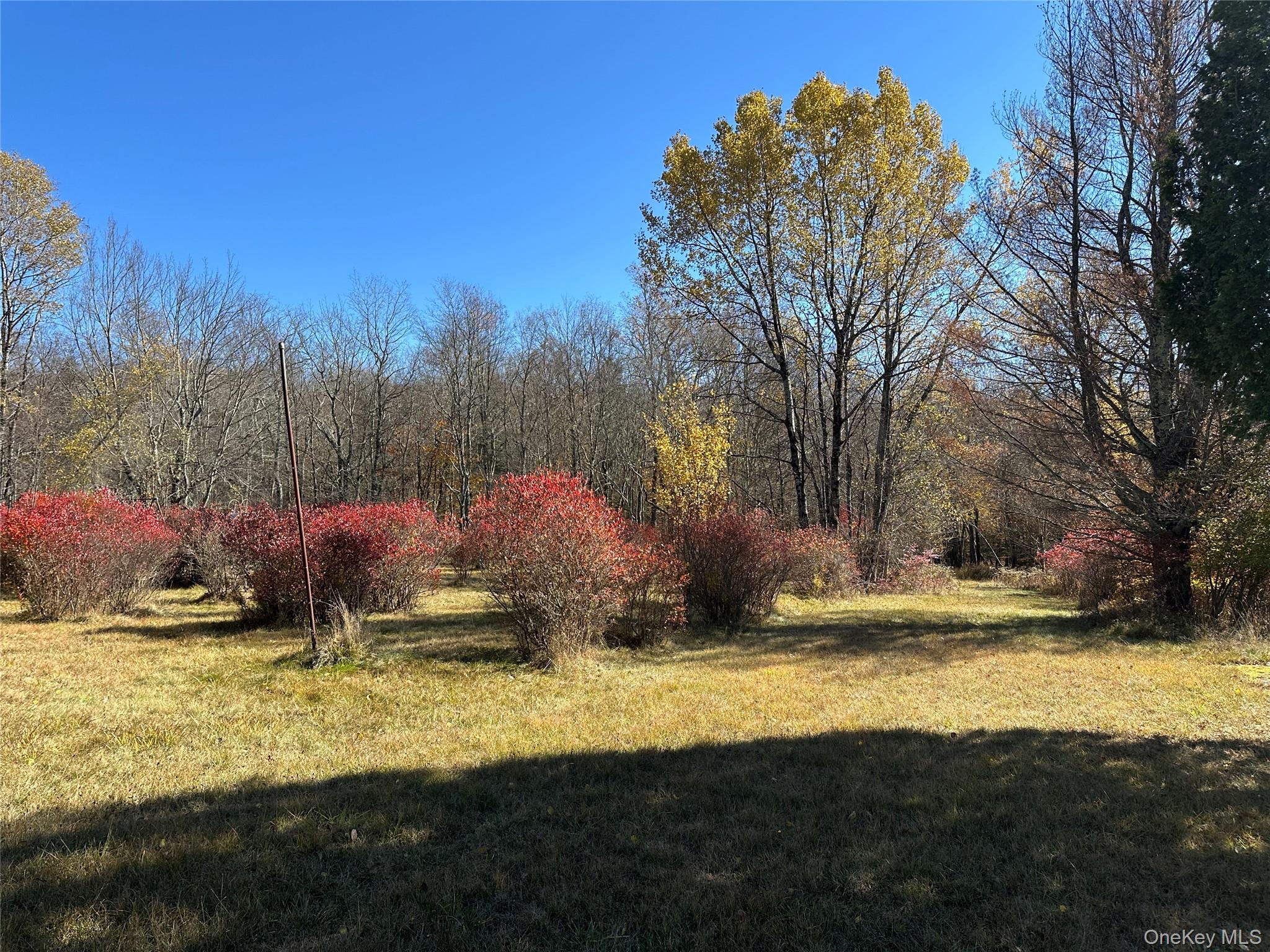24 Mud Pond Road Property Photo 8