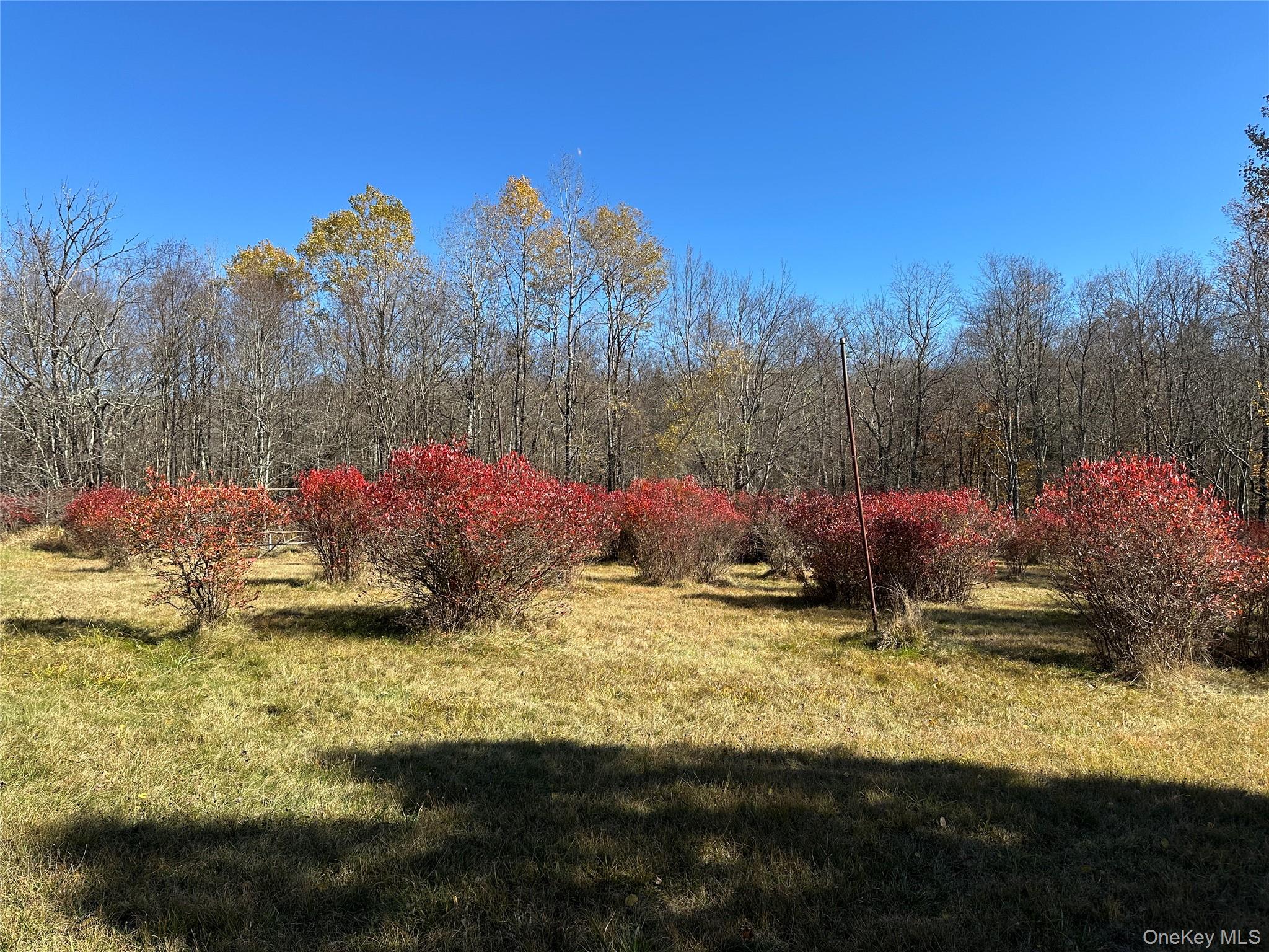24 Mud Pond Road Property Photo 9