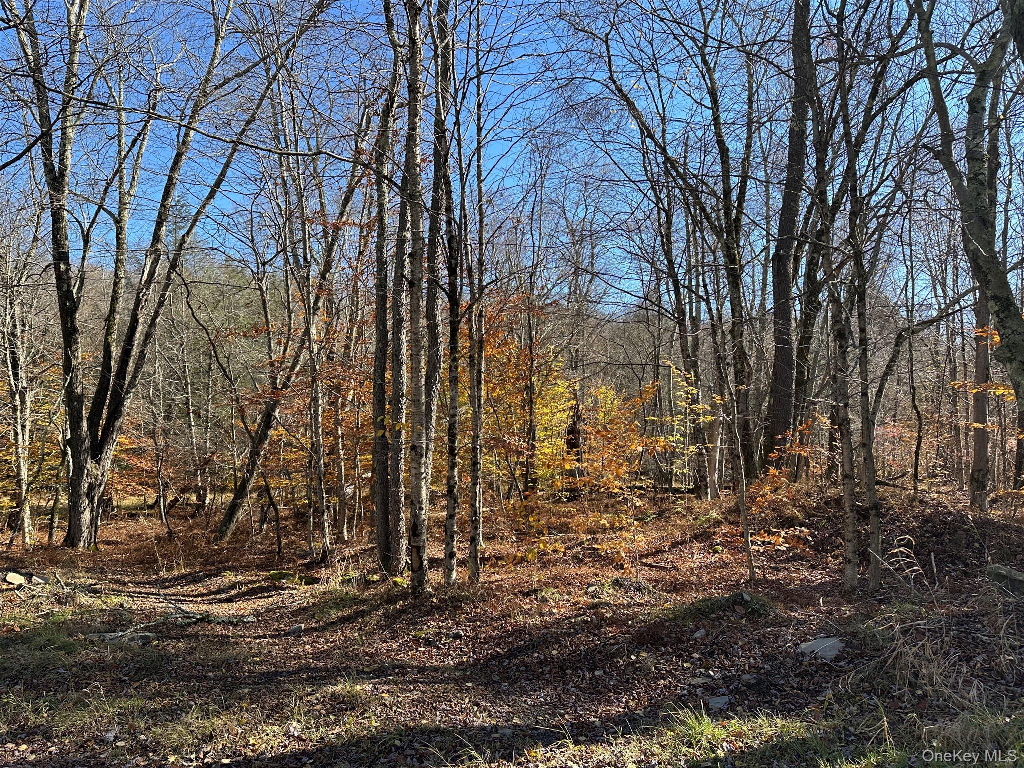 24 Mud Pond Road Property Photo 13