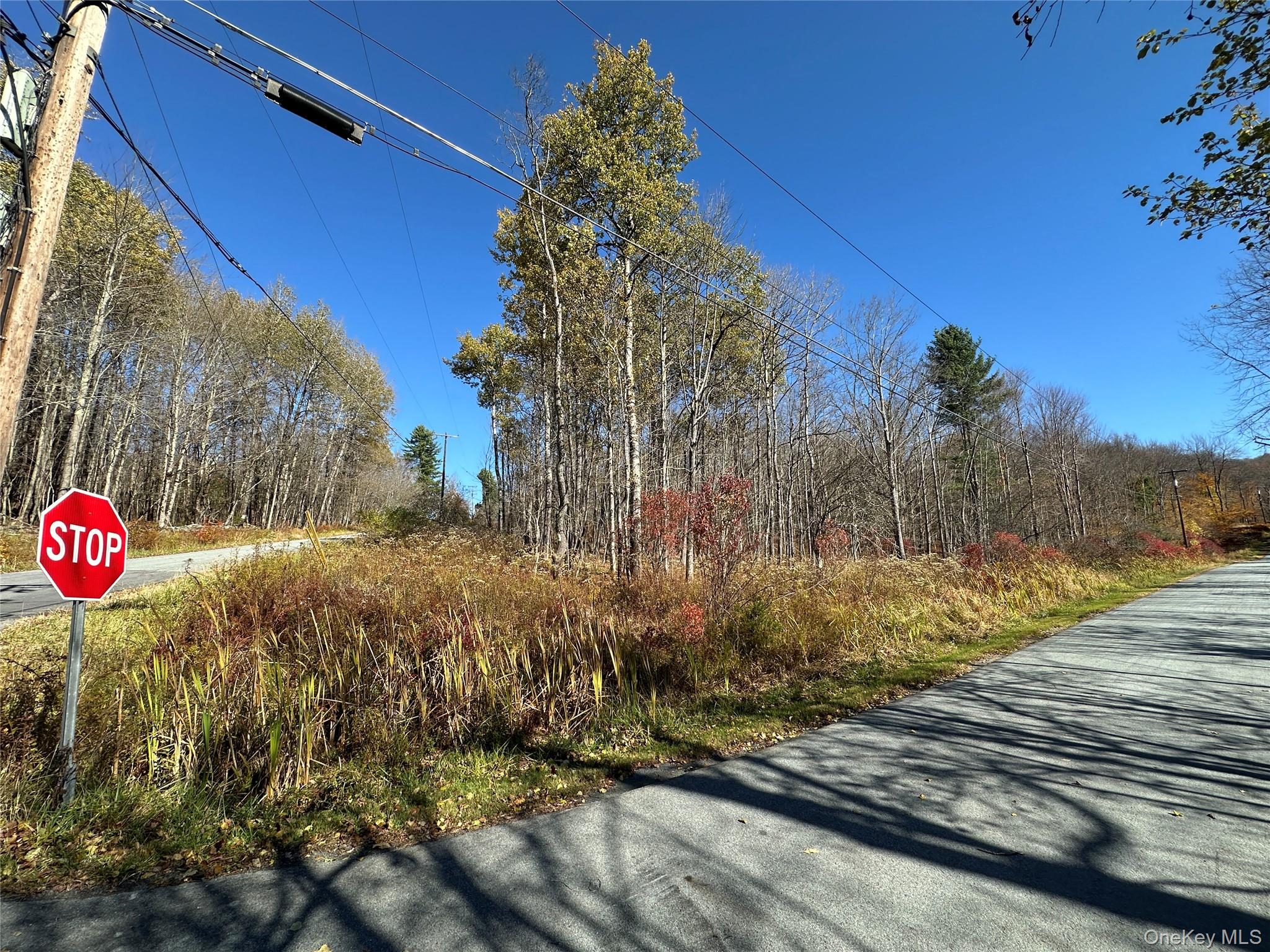 24 Mud Pond Road Property Photo 15