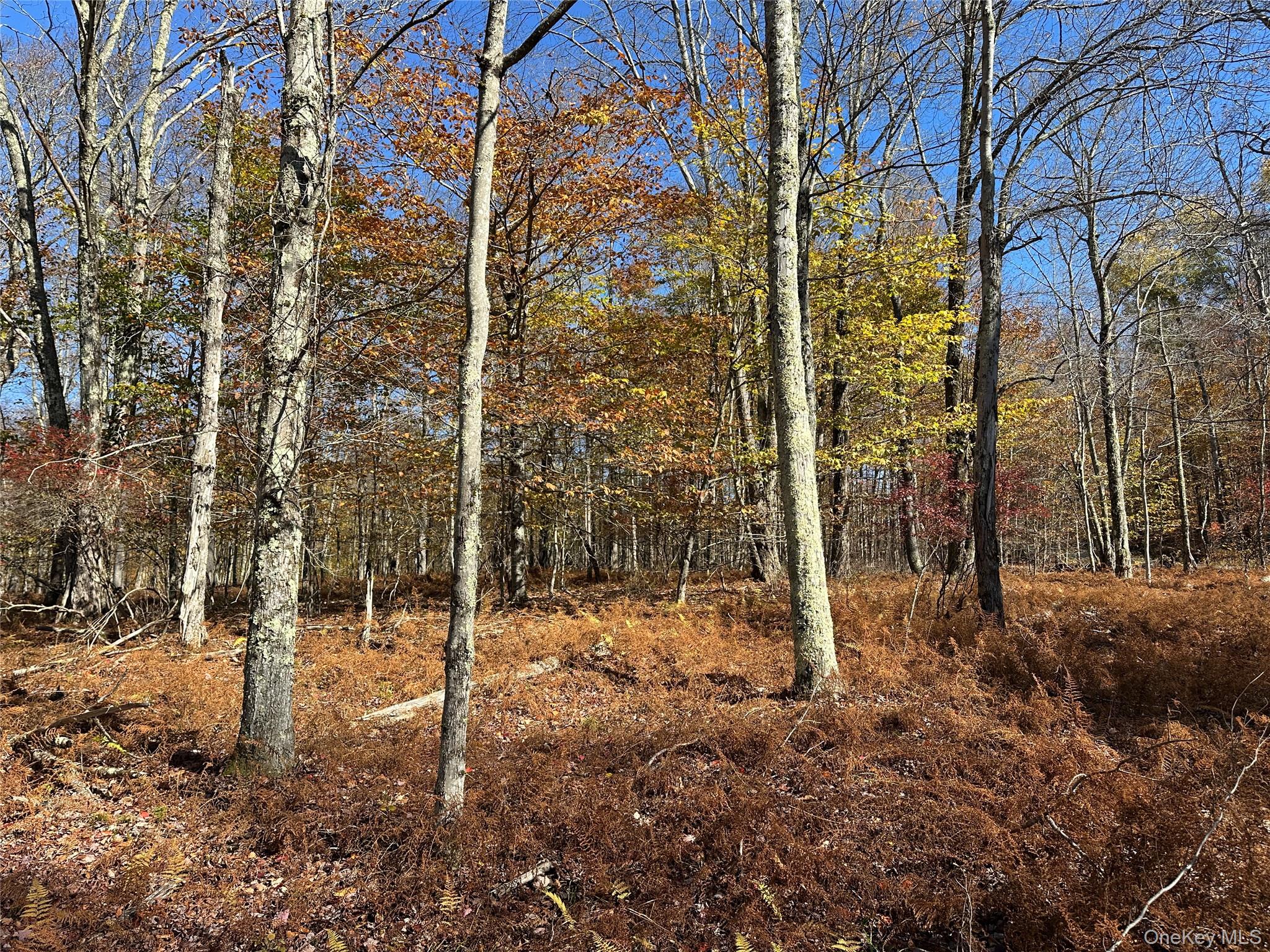24 Mud Pond Road Property Photo 16