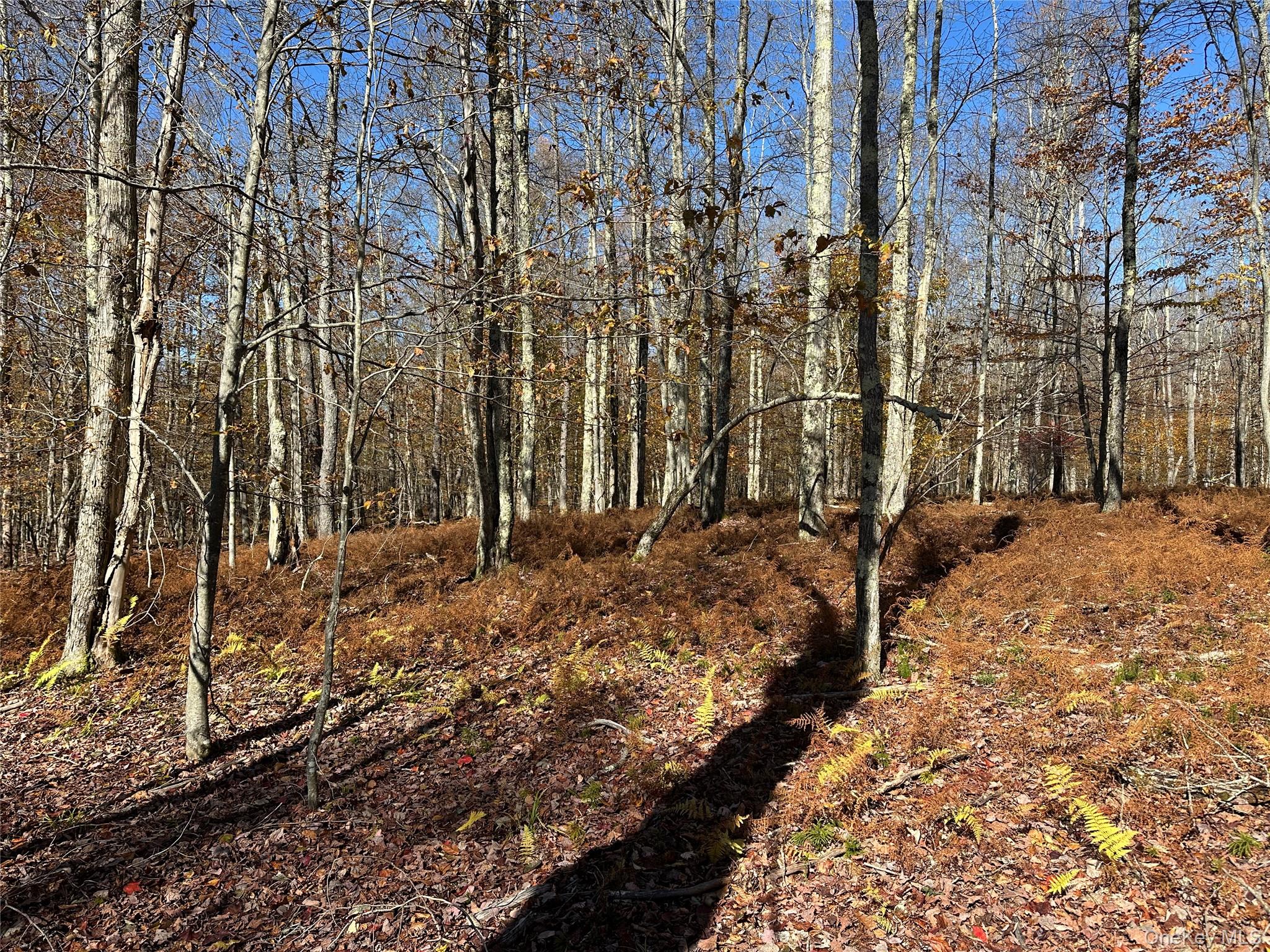 24 Mud Pond Road Property Photo 17