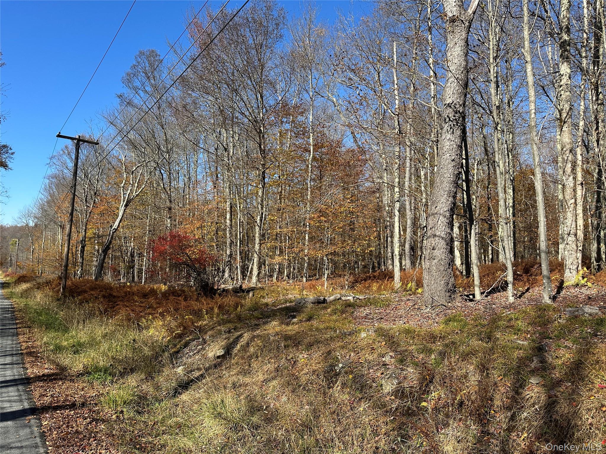 24 Mud Pond Road Property Photo 18