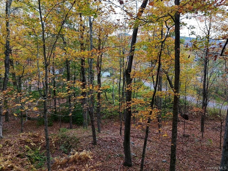 Tbd Kornell Drive Property Photo 5
