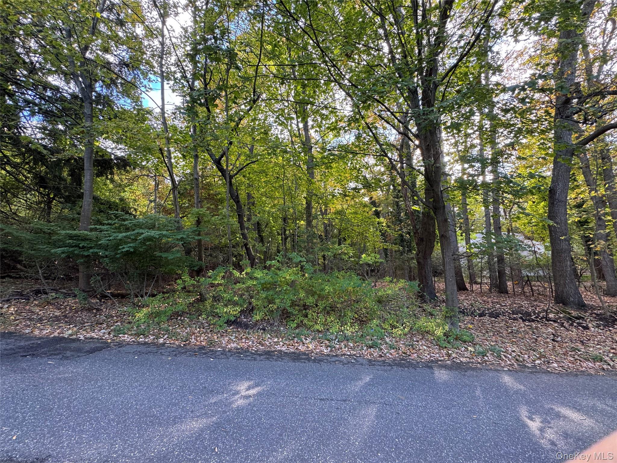 Thompson St/e. Broadway Property Photo 4