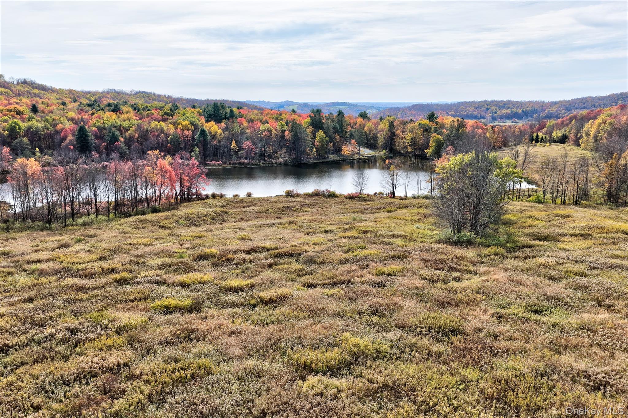 Tbd Meadow Lane Property Photo 3