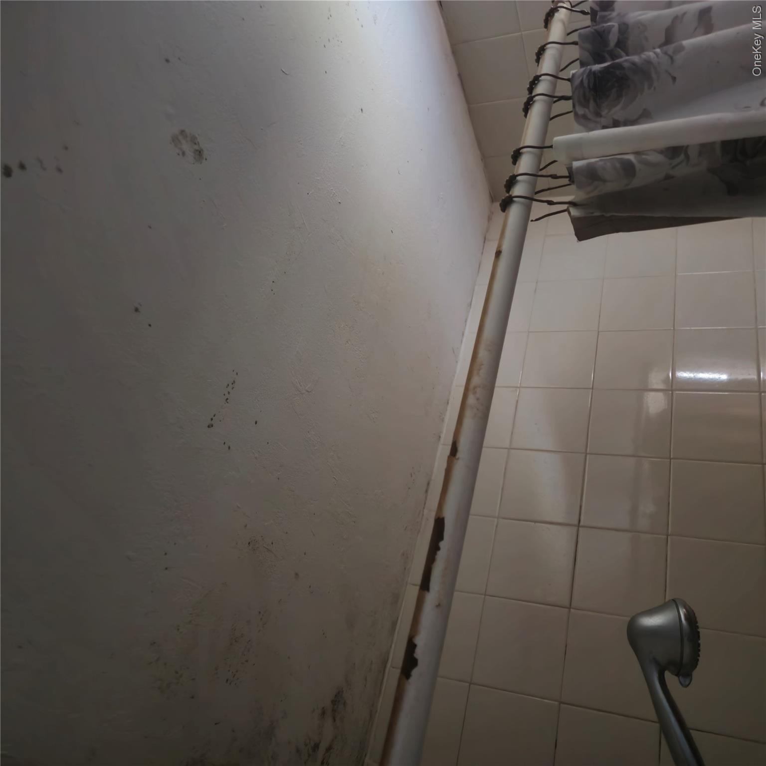 73 Lonergan Drive Property Photo 29