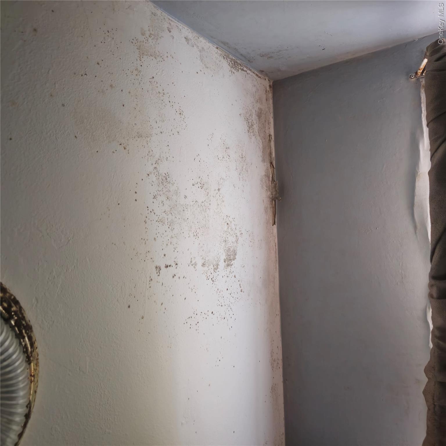 73 Lonergan Drive Property Photo 30
