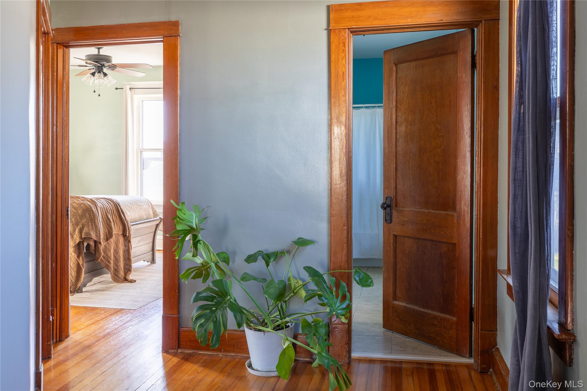 531 Washington Street Property Photo 9