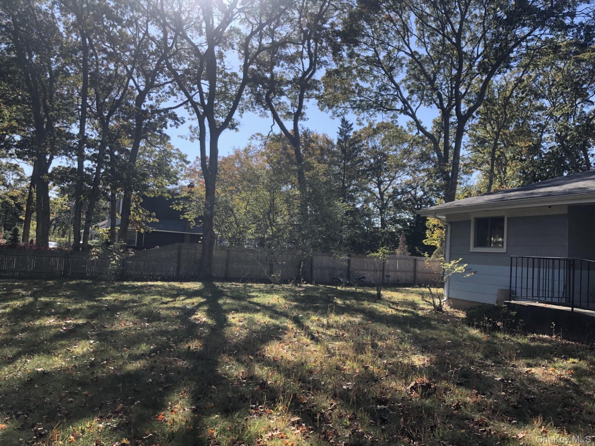 49 Hazelwood Avenue Property Photo 3