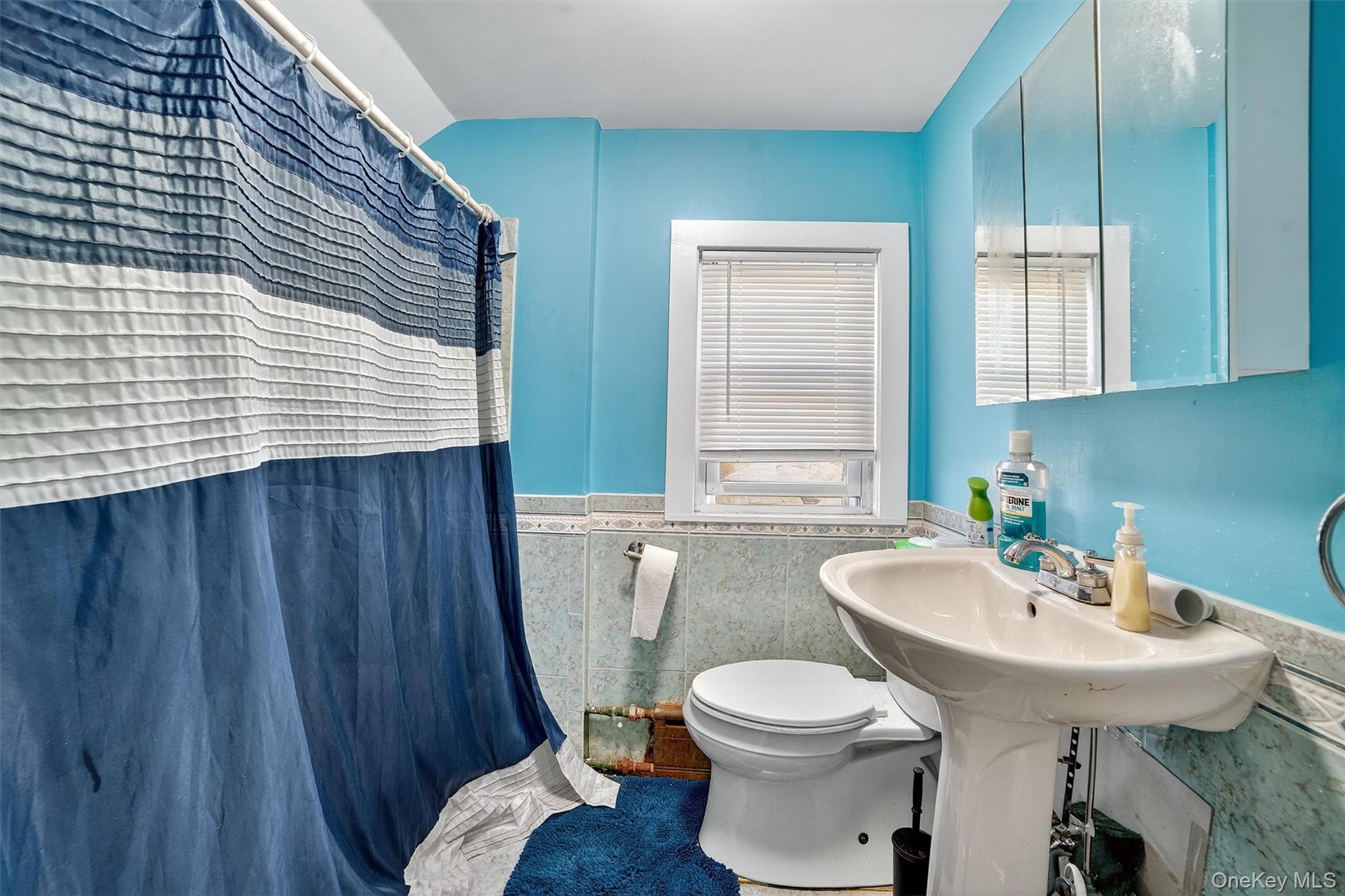 17 Mount Joy Place Property Photo 17