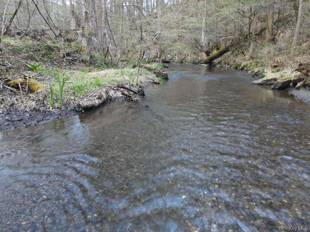 56 Northrup Road Property Photo 10